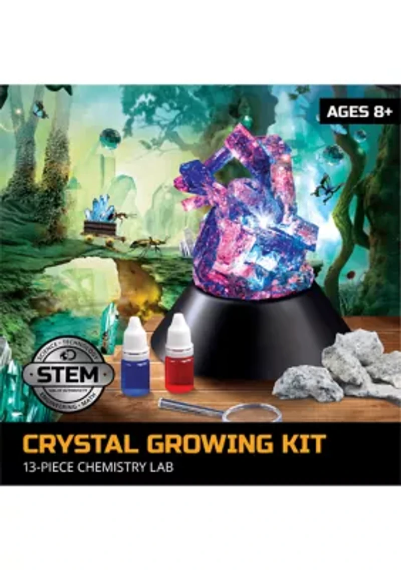  14-Piece Lab Crystal Growing Kit 