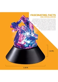  14-Piece Lab Crystal Growing Kit 