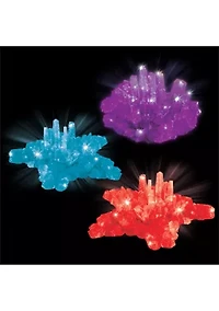  14-Piece Lab Crystal Growing Kit 