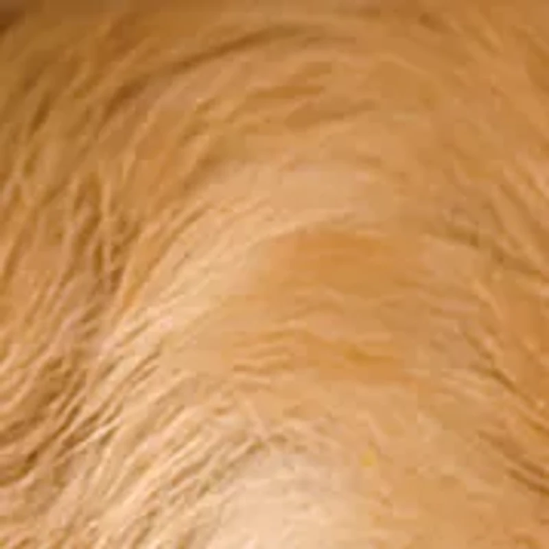 Impossibles Puzzle - Awww... Sleeping Puppies: 1000 Pcs