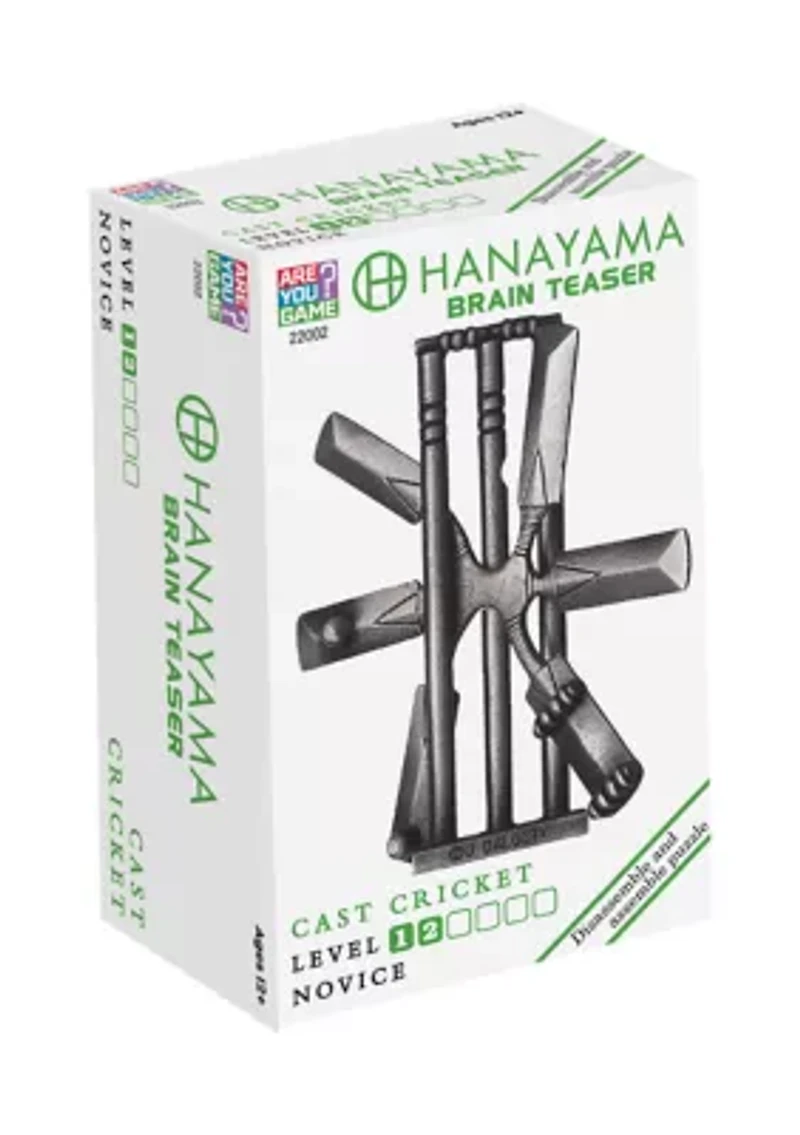 Hanayama Level 2 Cast Puzzle - Cricket