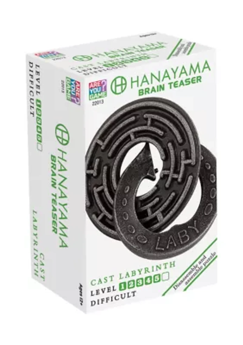 Hanayama Level 5 Cast Puzzle - Labyrinth