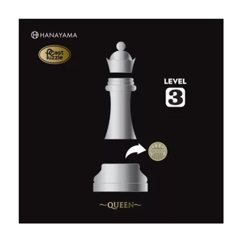 Hanayama Level 3 Cast Chess Puzzle