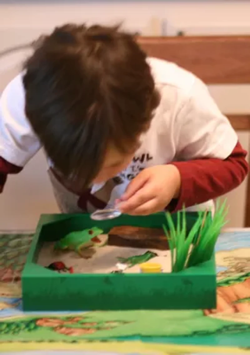 My Little Sandbox - Bug's World
