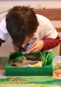 My Little Sandbox - Bug's World