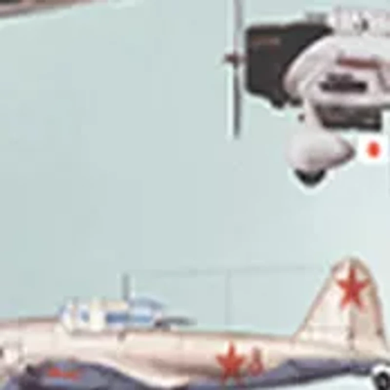 WWII Aircraft: 1000 Pieces