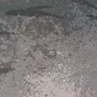 Sophie's Seashell Scramble