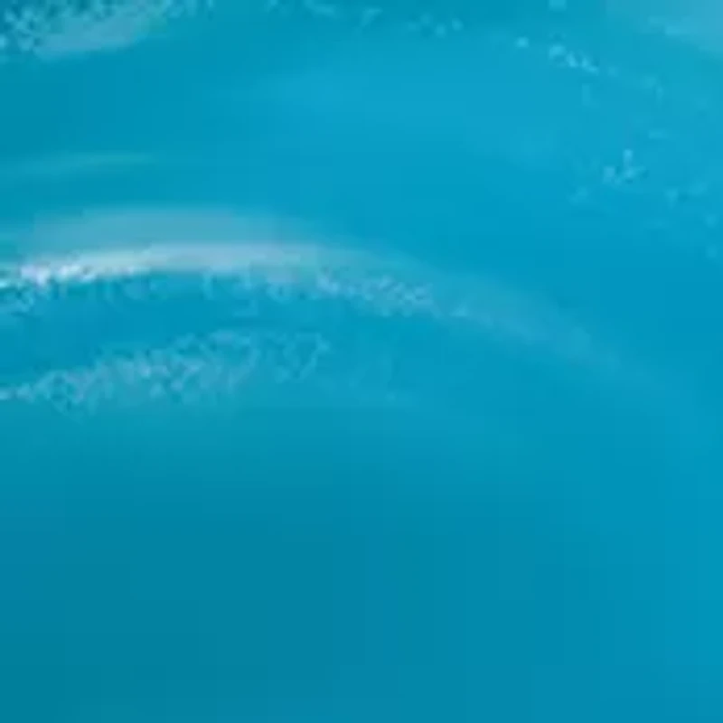 Bermuda Pirates