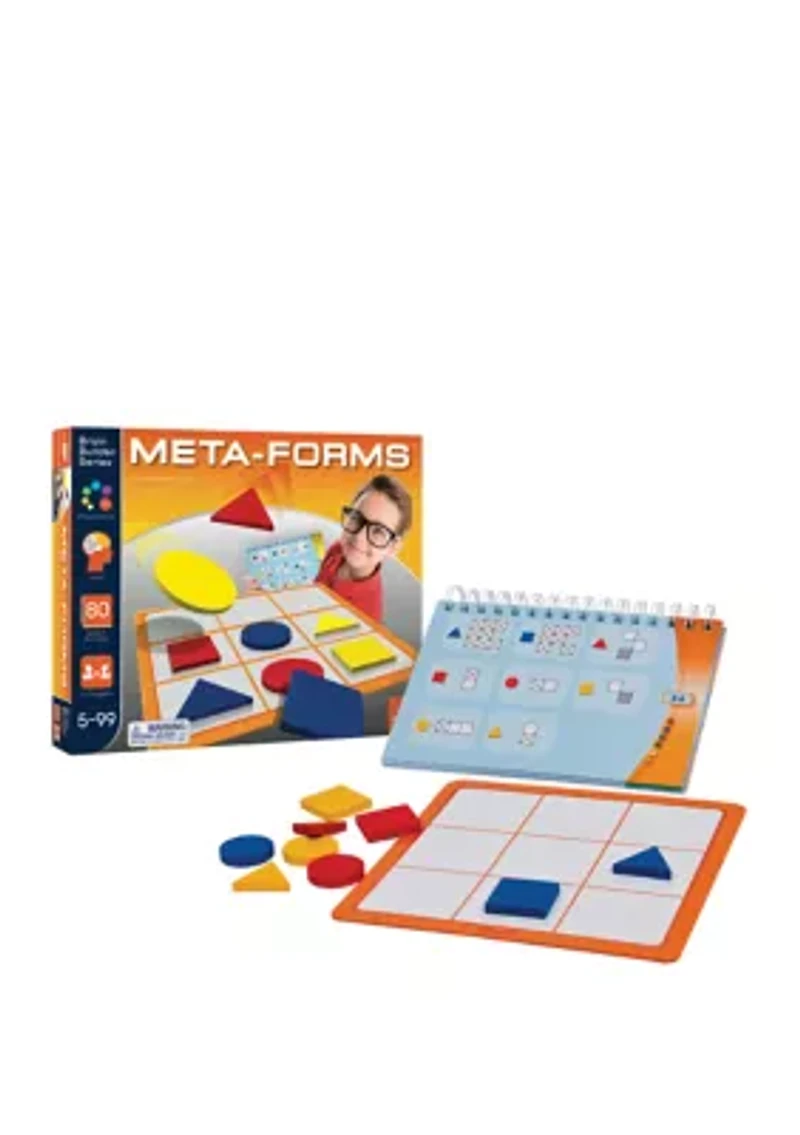 Meta-Forms Brain Teaser Puzzle