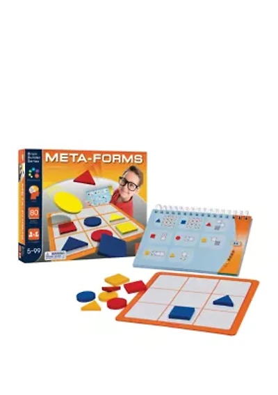 Meta-Forms Brain Teaser Puzzle