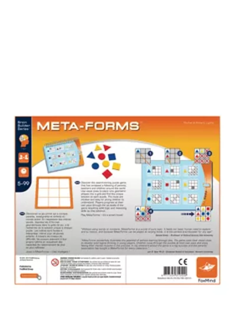 Meta-Forms Brain Teaser Puzzle