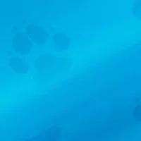 Dog Rally - Active Kids