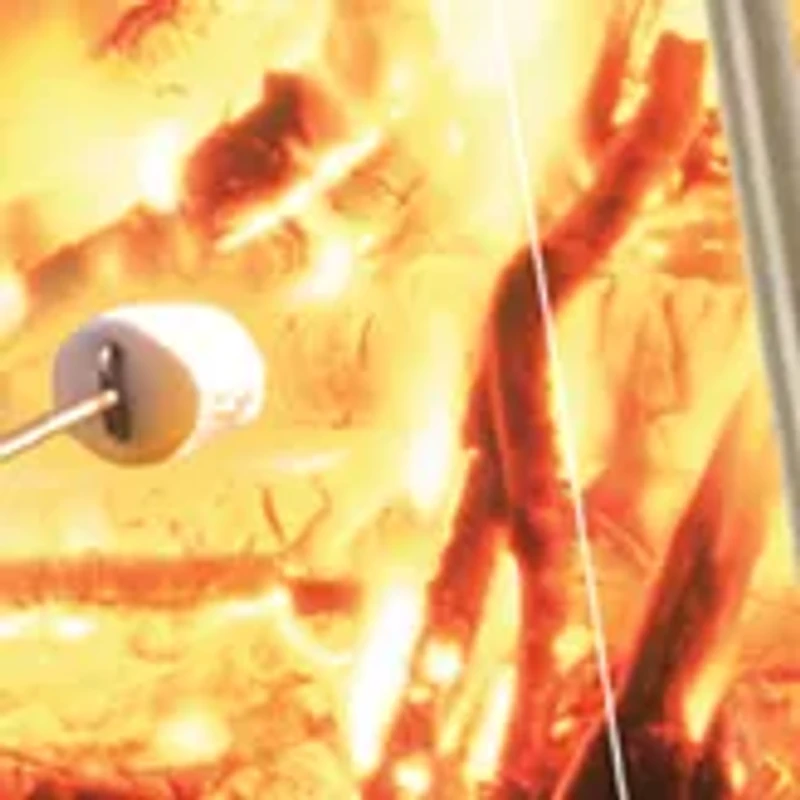 Marshmallow & Hot Dog Reel Roaster