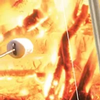 Marshmallow & Hot Dog Reel Roaster
