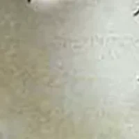 The Da Vinci Quest Game