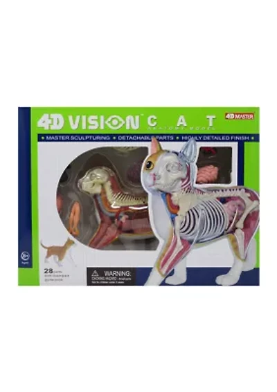 4D Vision Orange Cat Anatomy Model
