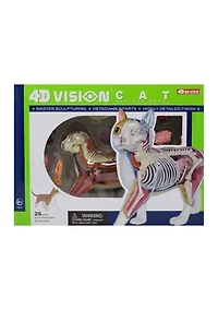 4D Vision Orange Cat Anatomy Model