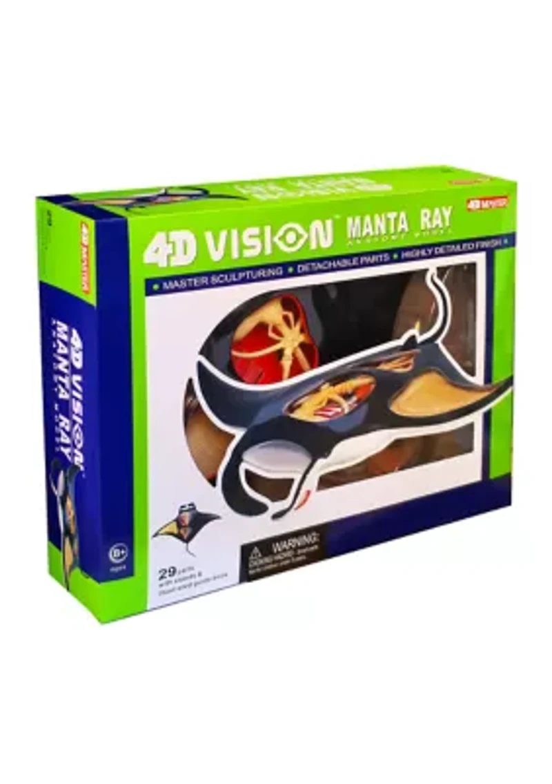 4D Vision Manta Ray Anatomy Model