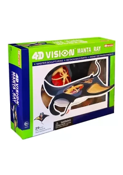 4D Vision Manta Ray Anatomy Model