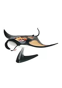 4D Vision Manta Ray Anatomy Model
