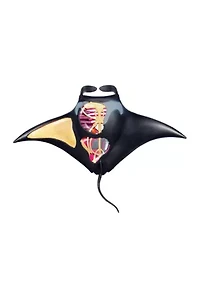 4D Vision Manta Ray Anatomy Model