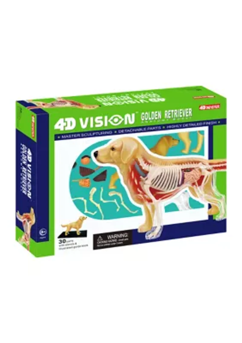 4D Vision Golden Retreiver Anatomy Model