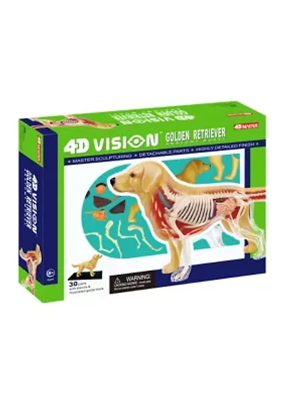 4D Vision Golden Retreiver Anatomy Model