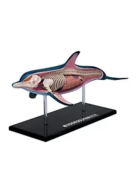 4D Vision Dolphin Anatomy Model
