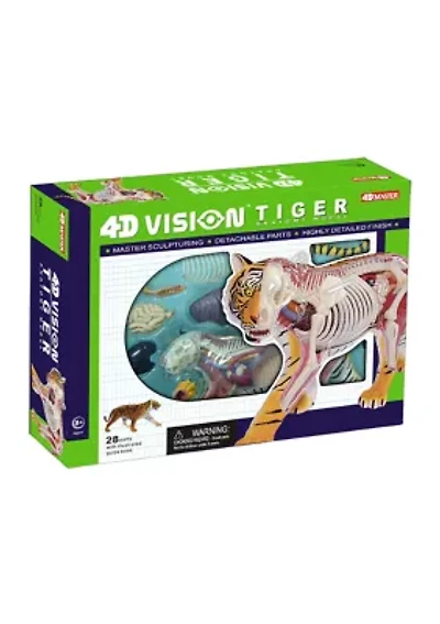 4D Vision Tiger Anatomy Model