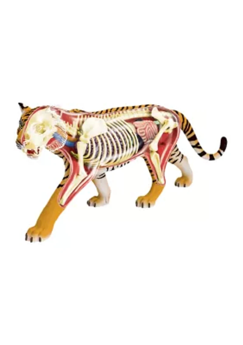 4D Vision Tiger Anatomy Model