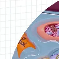  4D Vision Great White Shark Anatomy Model 