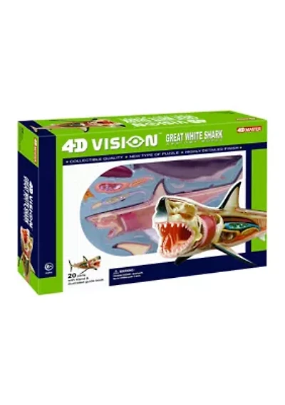 4D Vision Great White Shark Anatomy Model