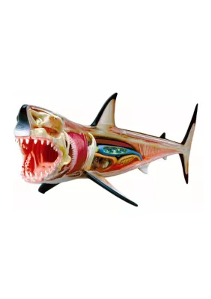  4D Vision Great White Shark Anatomy Model 