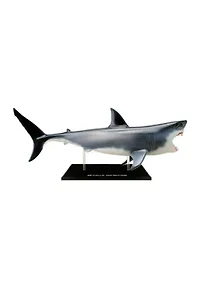  4D Vision Great White Shark Anatomy Model 