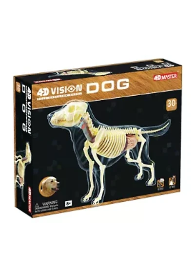 4D Vision Full Skeleton Dog Model