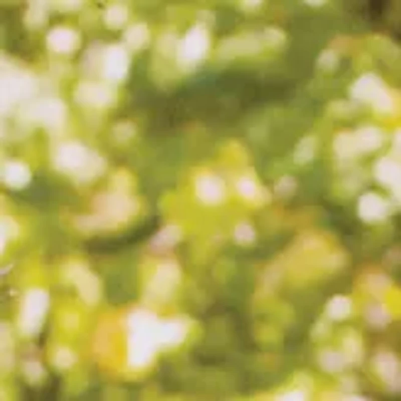 Hop & Squeak Pogo Jumper