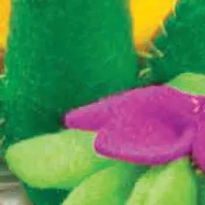 Sew Mini Gardens Craft Kit