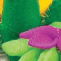 Sew Mini Gardens Craft Kit