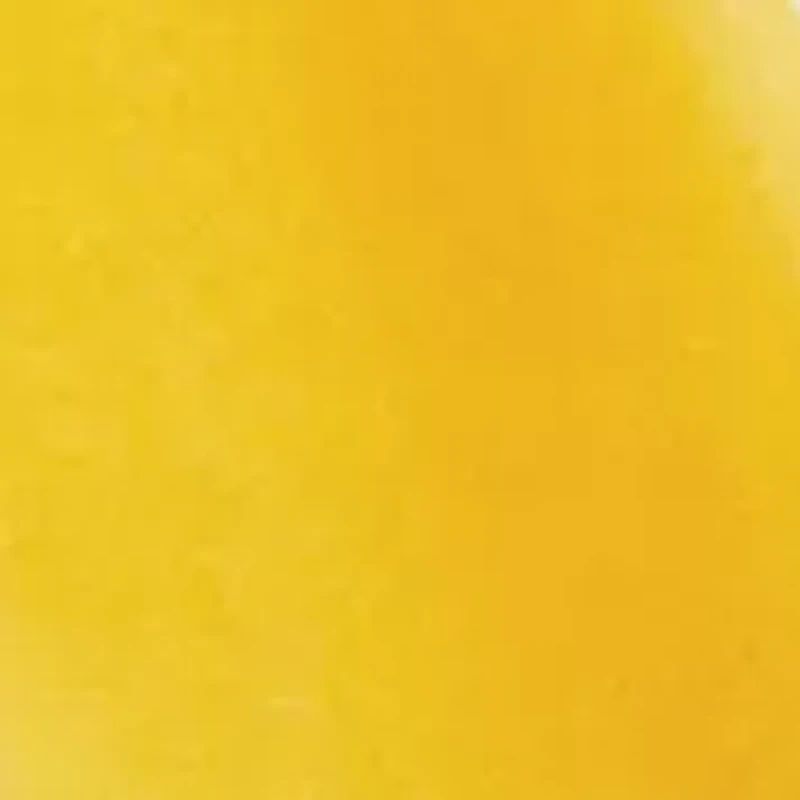 Primary Science - Leap & Launch Rocket