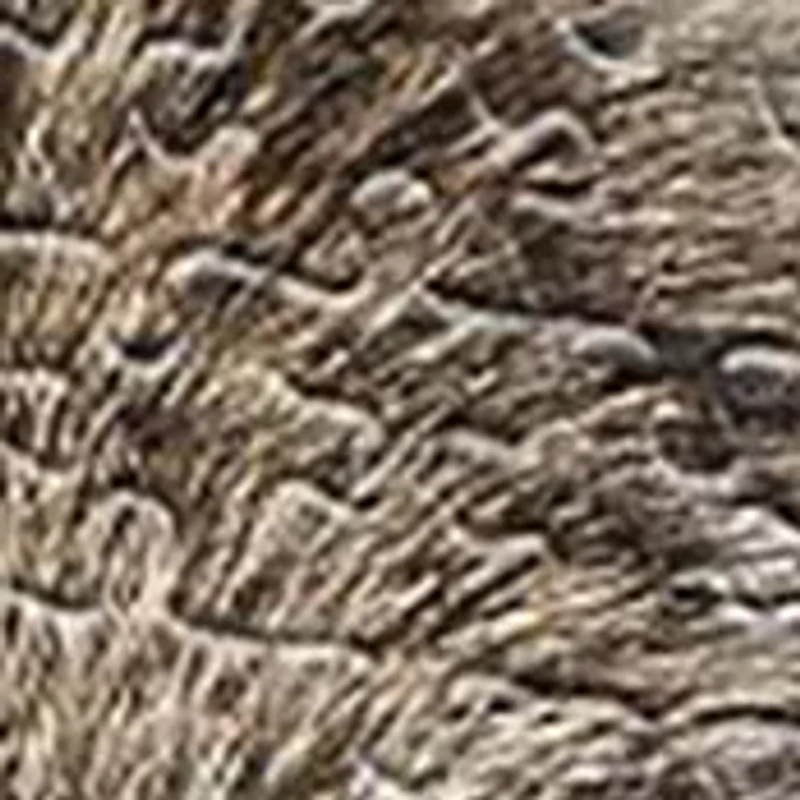 I Am Wolf Shaped Jigsaw Puzzle: 550 Pcs