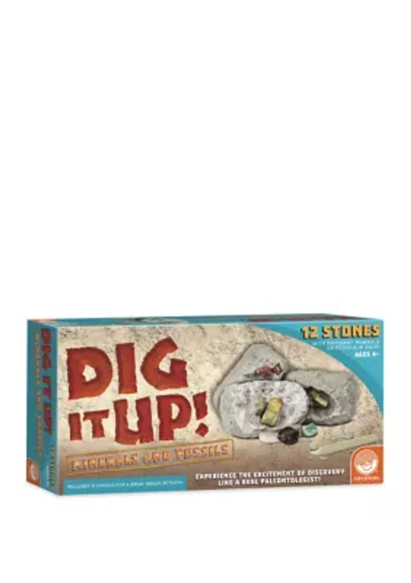 Dig It Up! - Minerals and Fossils