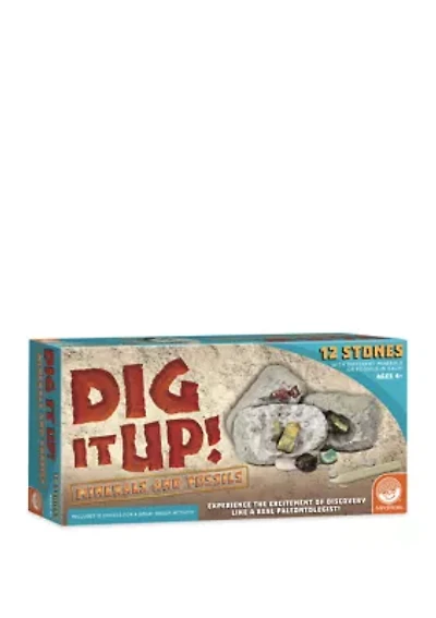 Dig It Up! - Minerals and Fossils