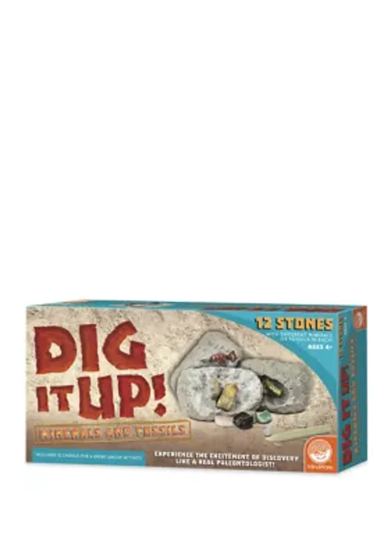 Dig It Up! - Minerals and Fossils