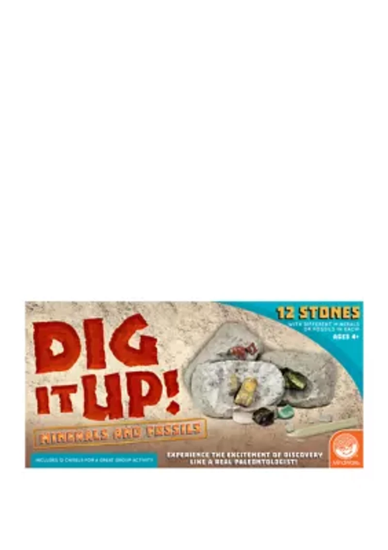 Dig It Up! - Minerals and Fossils