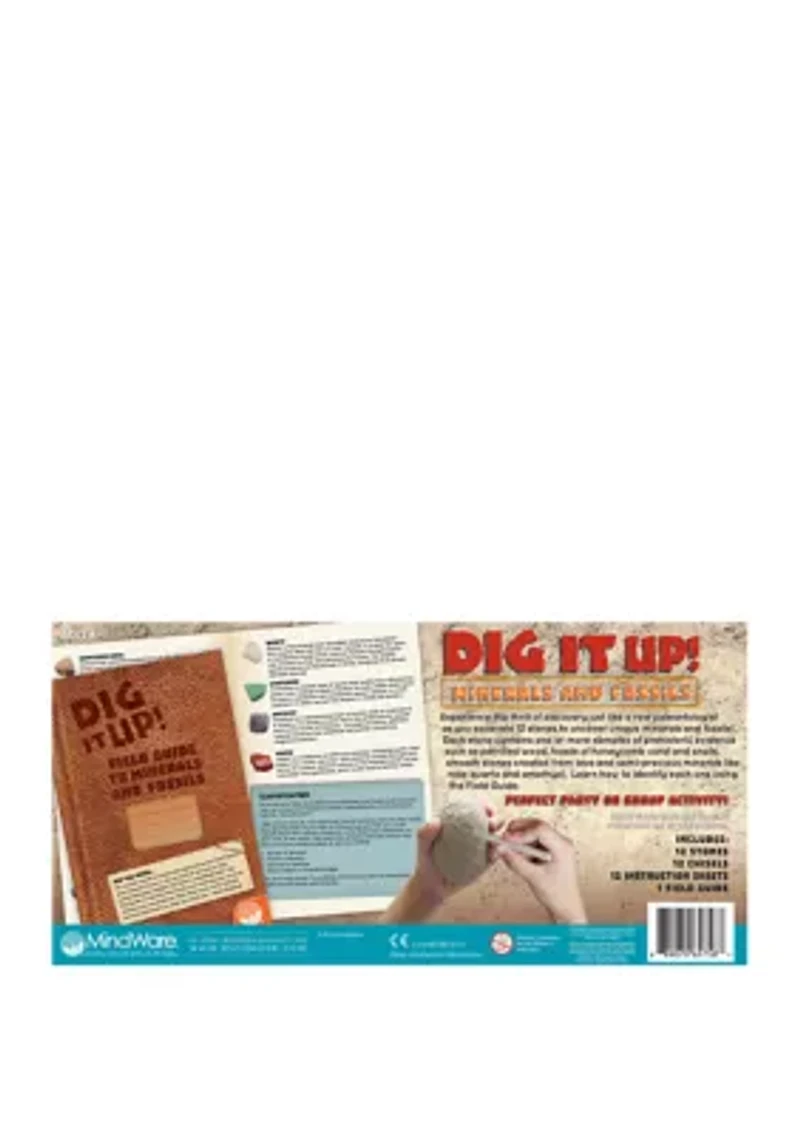 Dig It Up! - Minerals and Fossils
