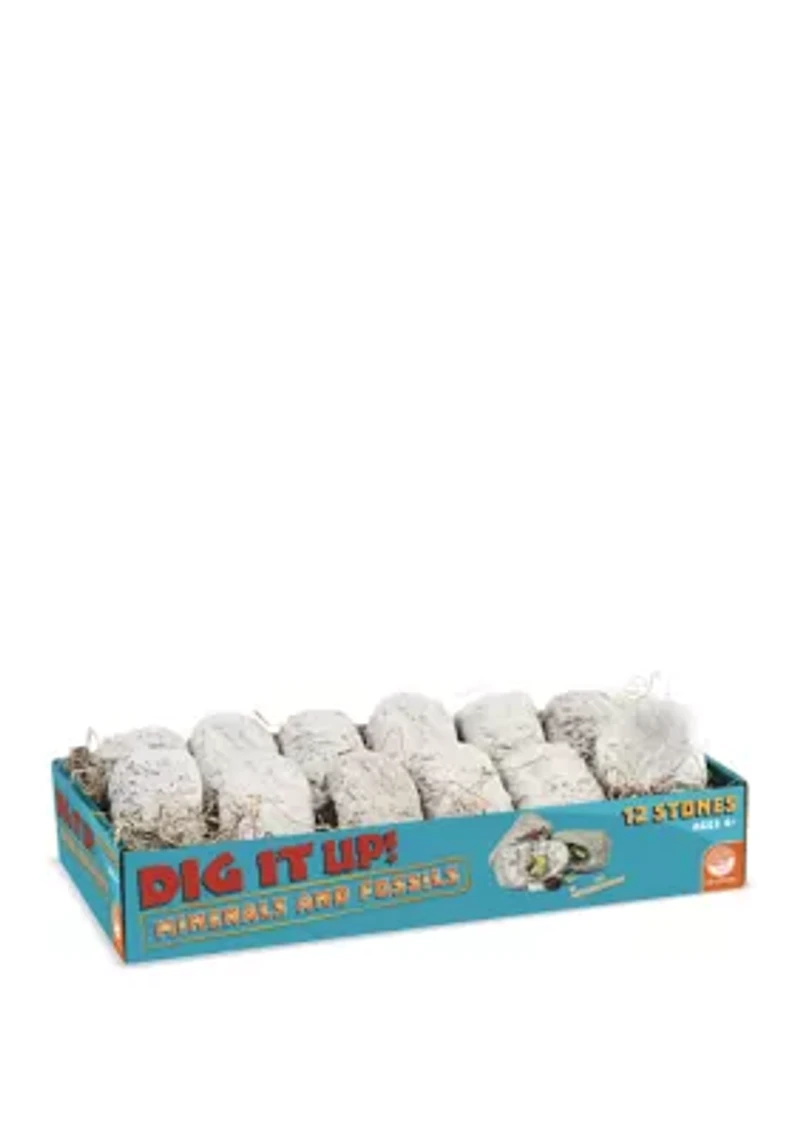 Dig It Up! - Minerals and Fossils