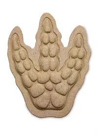Paint Your Own Stepping Stone - Dinosaur Footprint