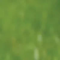 Dig It Up! - Discoveries: Puppies
