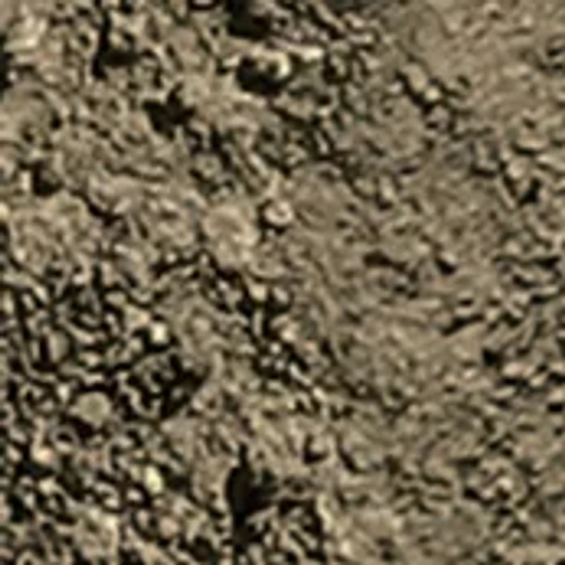 Dig It Up! - The Big Egg
