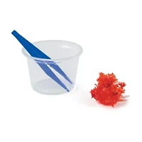 12 Days of Crystal Science